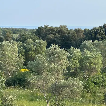 House Lera Rovinj, With Football Field, Sauna, Jacuzzi *